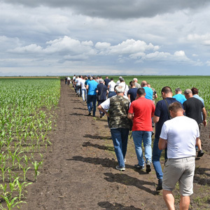 Na oglednom polju "Zlatica" održan tradicionalni Dan polja strnih žita srednjeg Banata, u organizaciji Poljoprivredne stručne službe Zrenjanin  