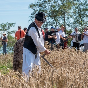 Zamenik gradonačelnika prisustvovao manifestaciji "Žetelački dan“ -  prikazan tradicionalni žetveni  doručak, a zatim održano takmičenje u kosidbi žita